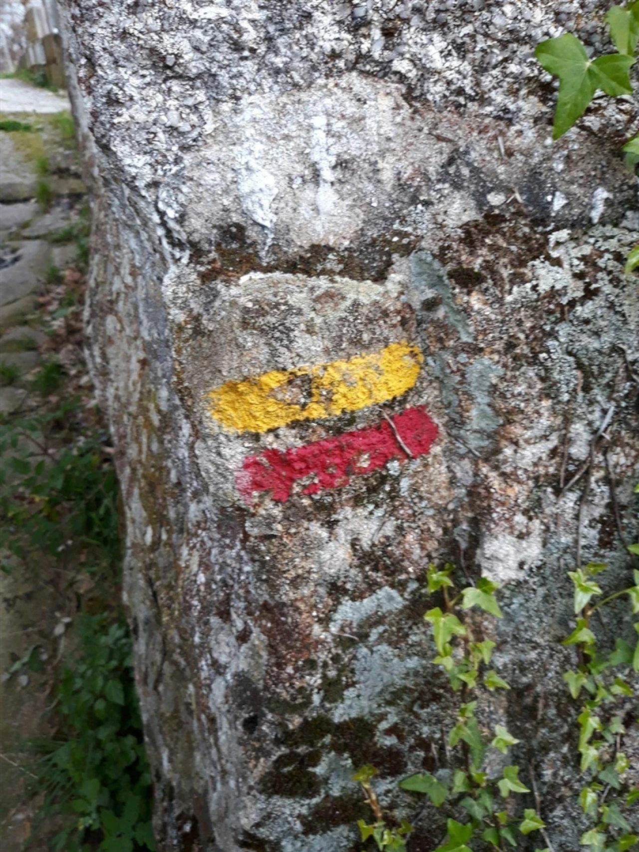 Quinta T2 para Venda em Mondim de Basto Foto 25