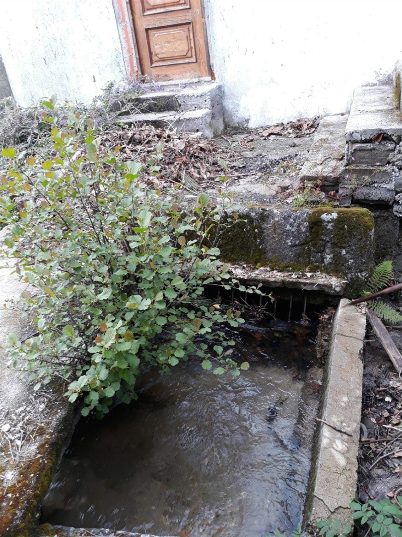 Quinta T2 para Venda em Mondim de Basto Foto 7