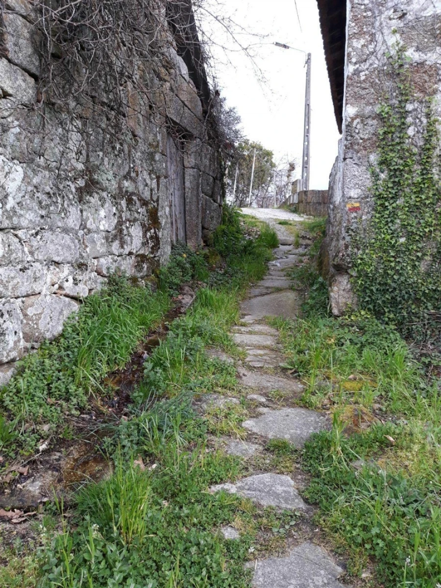 Quinta T2 para Venda em Mondim de Basto Foto 24