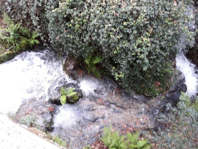 Quinta T2 para Venda em Mondim de Basto Foto 10