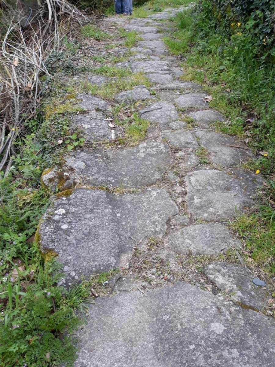 Quinta T2 para Venda em Mondim de Basto Foto 23