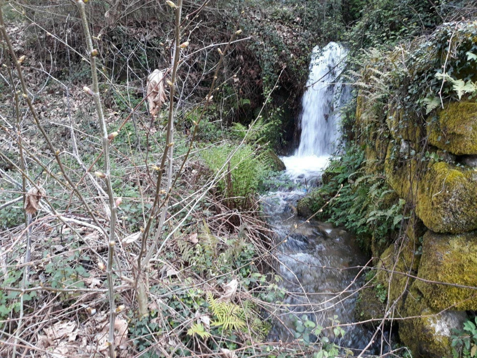 Quinta T2 para Venda em Mondim de Basto Foto 2