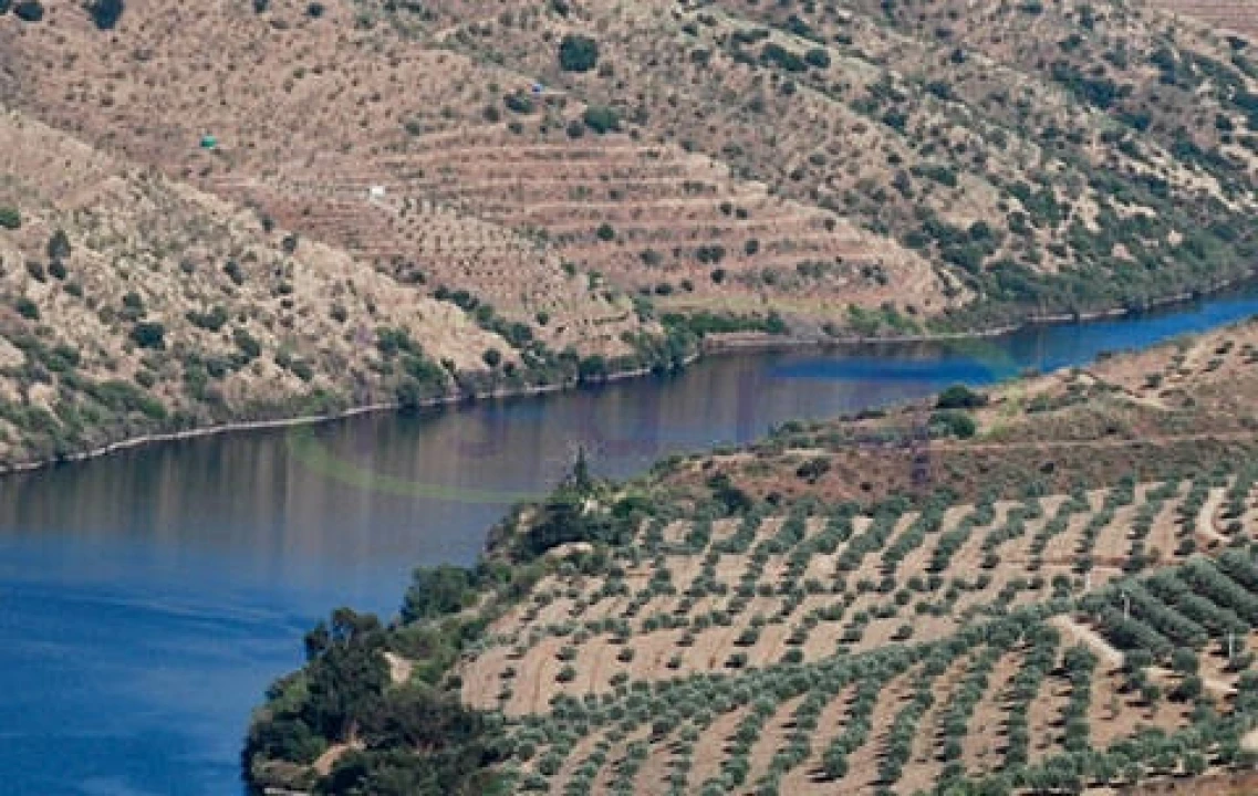 Terreno para Venda em Soalhães Foto 3