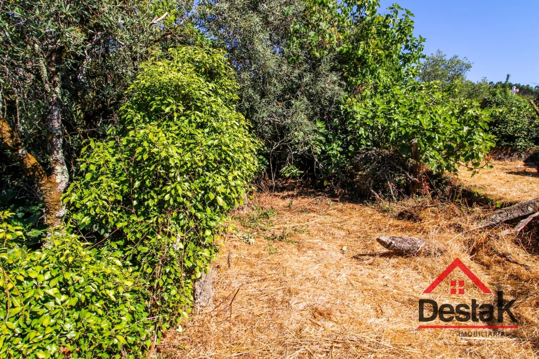 Moradia T0 para Venda em Pinheiro Foto 11