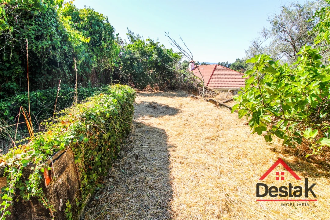 Moradia T0 para Venda em Pinheiro Foto 6