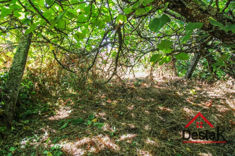 Moradia T0 para Venda em Pinheiro Foto 23