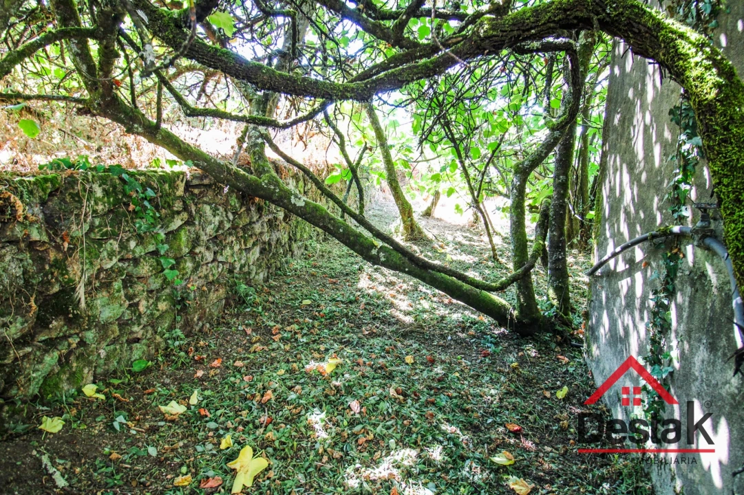 Moradia T0 para Venda em Pinheiro Foto 12