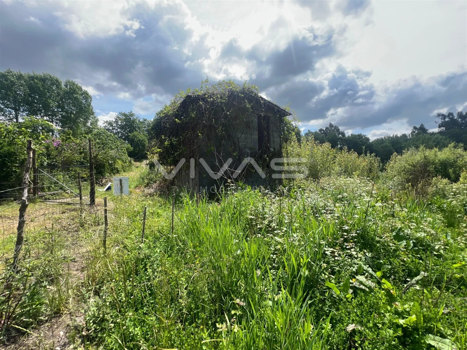 Terreno para Venda em Antime e Silvares (São Clemente) Foto 3