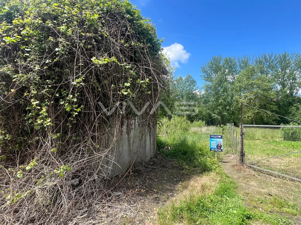 Terreno para Venda em Antime e Silvares (São Clemente) Foto 1