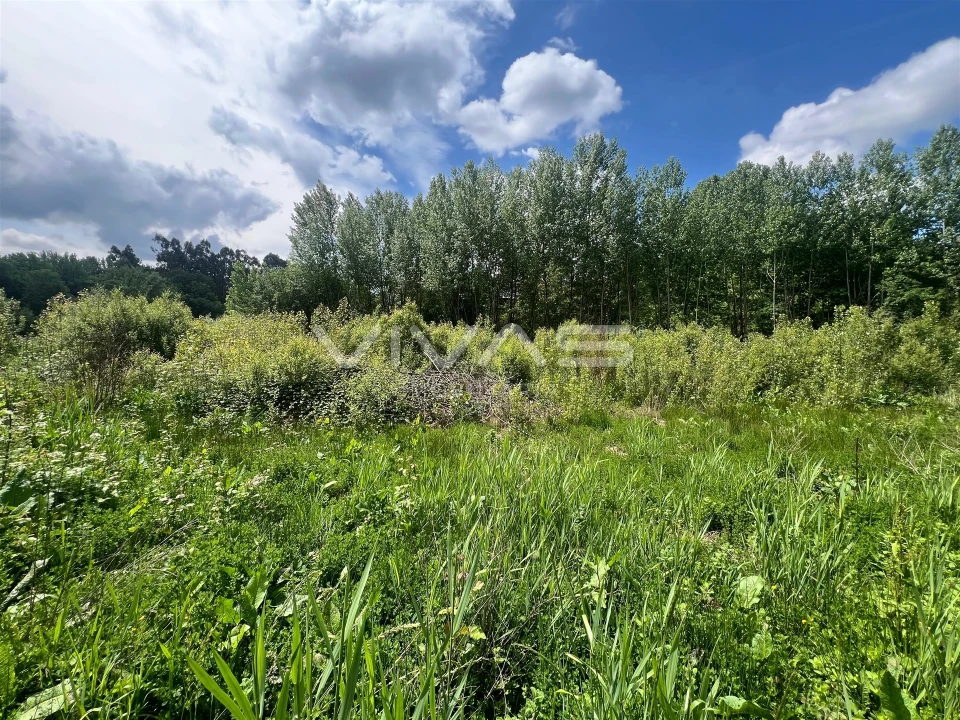 Terreno para Venda em Antime e Silvares (São Clemente) Foto 4