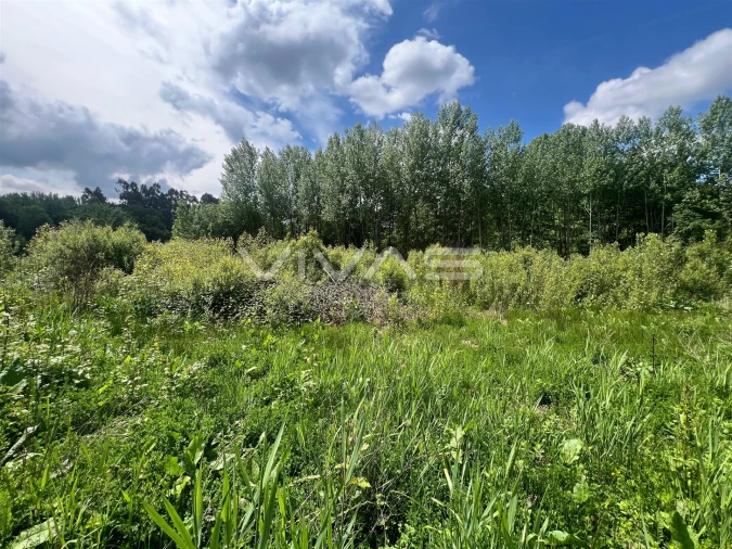 Terreno para Venda em Antime e Silvares (São Clemente) Foto 4