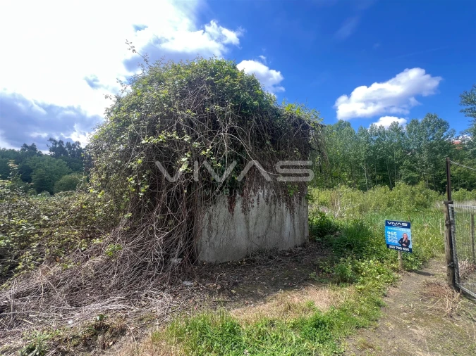 Terreno para Venda em Antime e Silvares (São Clemente) Foto 2