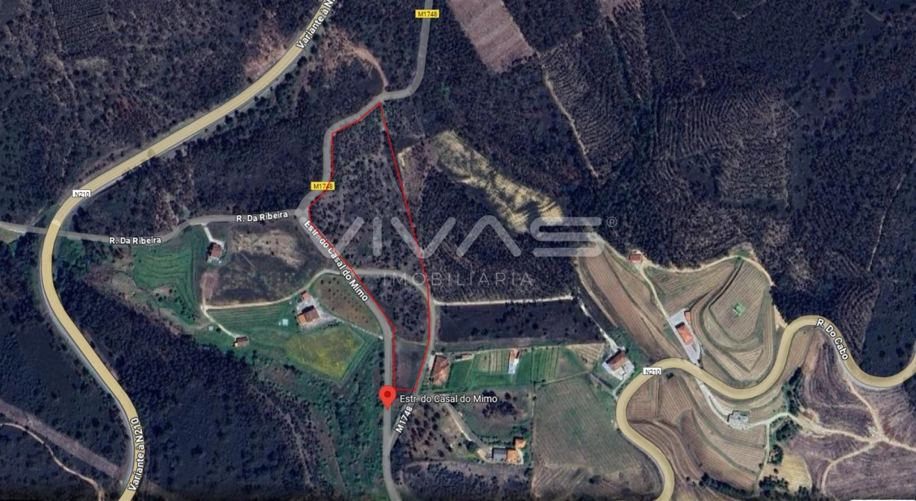 Terreno para Venda em Arnoia Foto 12