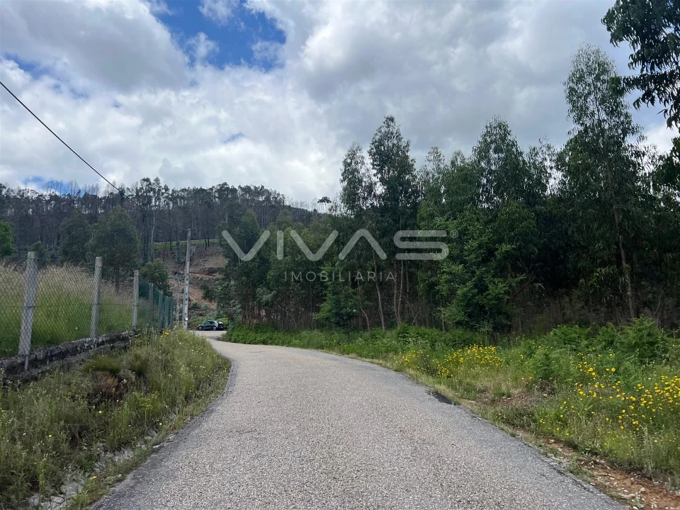 Terreno para Venda em Arnoia Foto 4