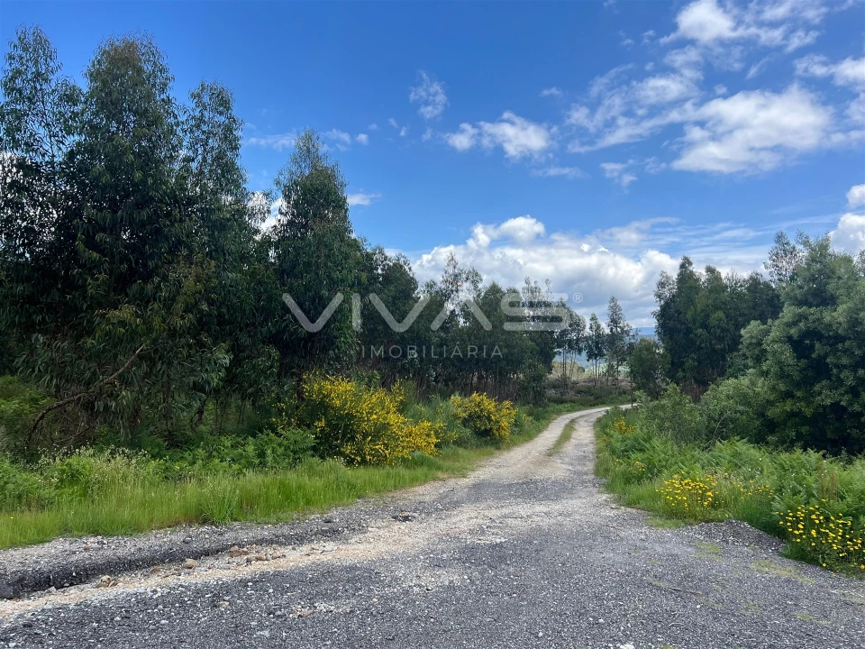 Terreno para Venda em Arnoia Foto 10