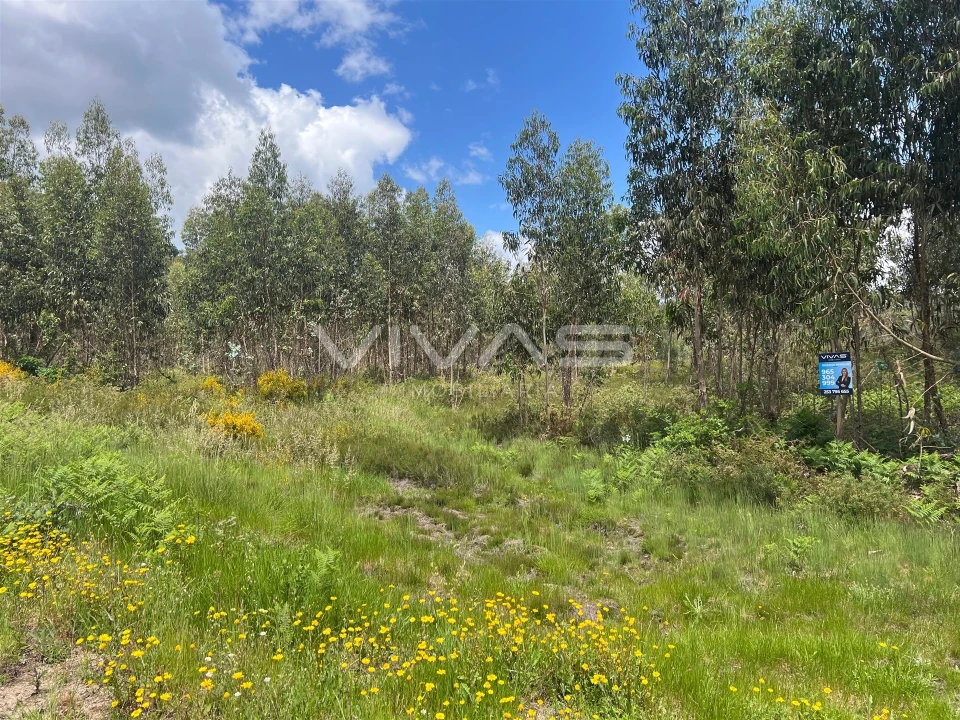 Terreno para Venda em Arnoia Foto 9