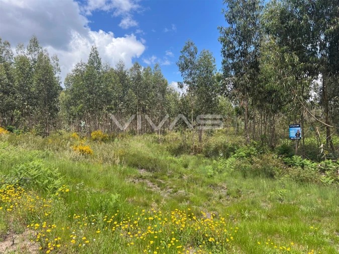 Terreno para Venda em Arnoia Foto 9