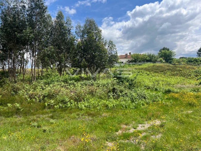 Terreno para Venda em Arnoia Foto 5