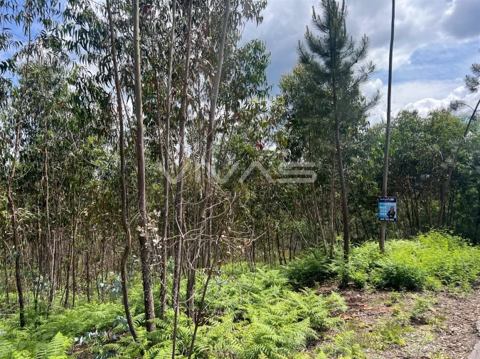 Terreno para Venda em Arnoia Foto 2