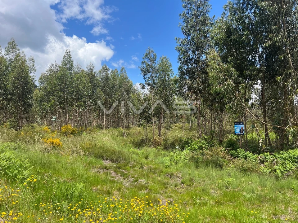 Terreno para Venda em Arnoia Foto 6