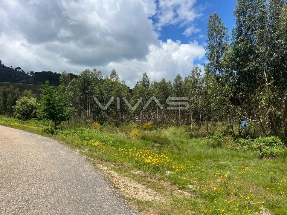 Terreno para Venda em Arnoia Foto 1
