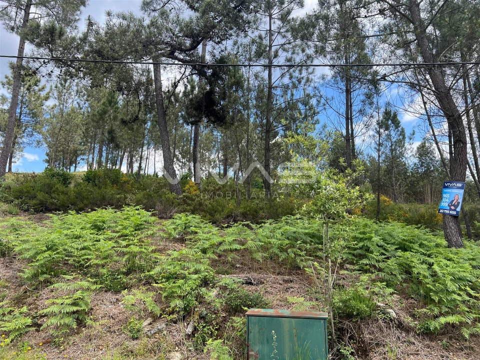 Terreno para Venda em Arnoia Foto 4