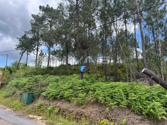 Terreno para Venda em Arnoia Foto 2