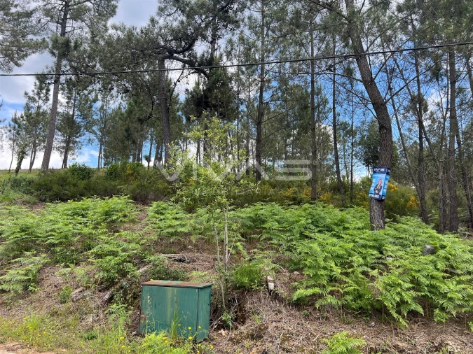 Terreno para Venda em Arnoia Foto 3