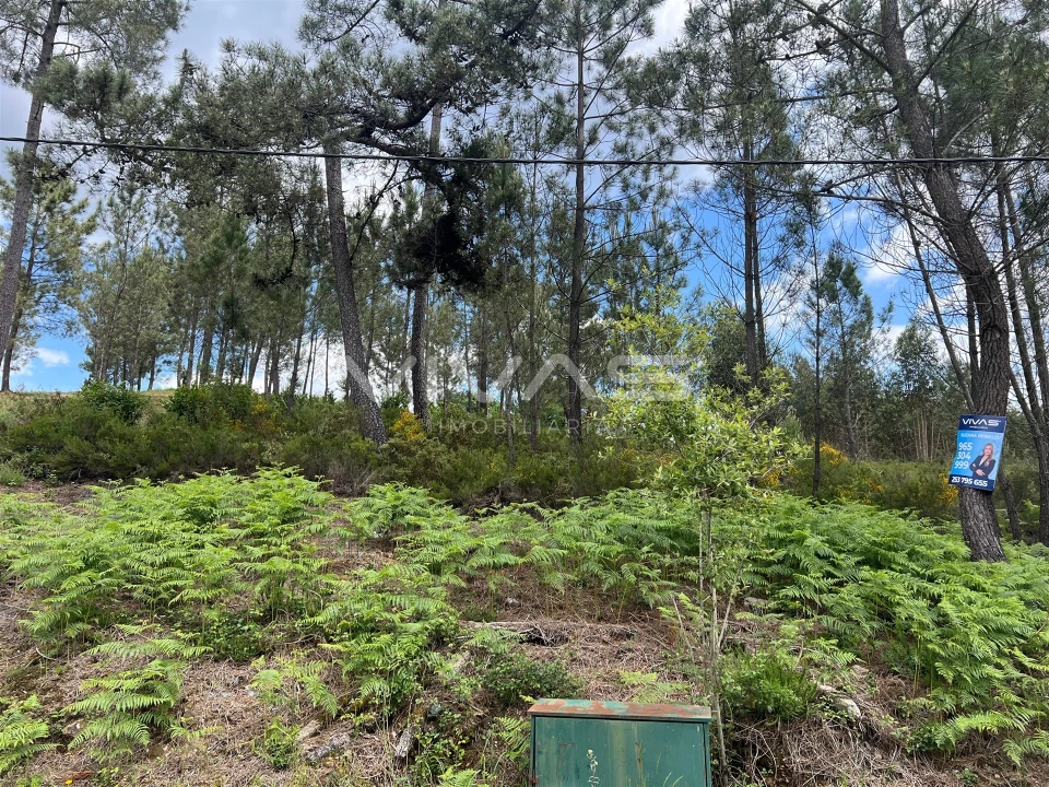 Terreno para Venda em Arnoia Foto 5