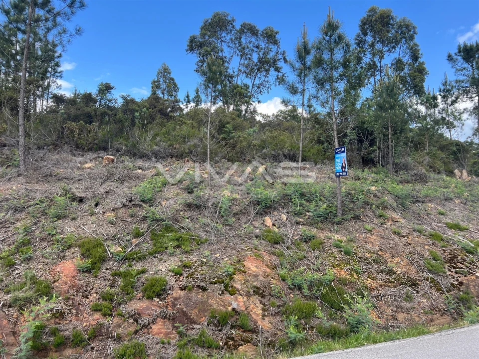Terreno para Venda em Arnoia Foto 4