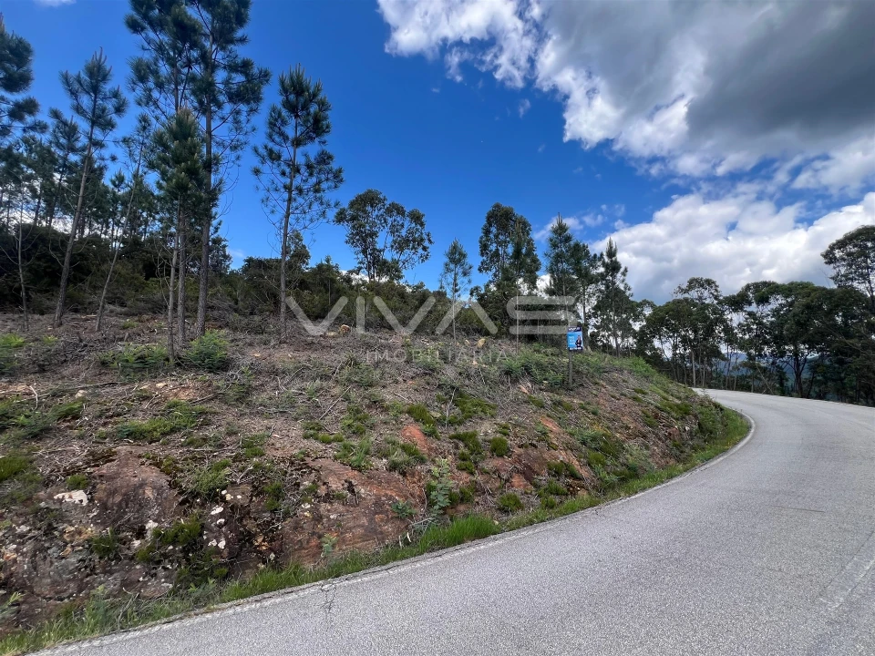 Terreno para Venda em Arnoia Foto 2