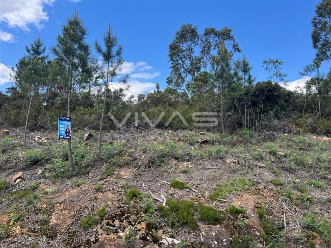 Terreno para Venda em Arnoia Foto 6