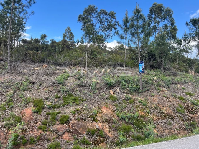Terreno para Venda em Arnoia Foto 4