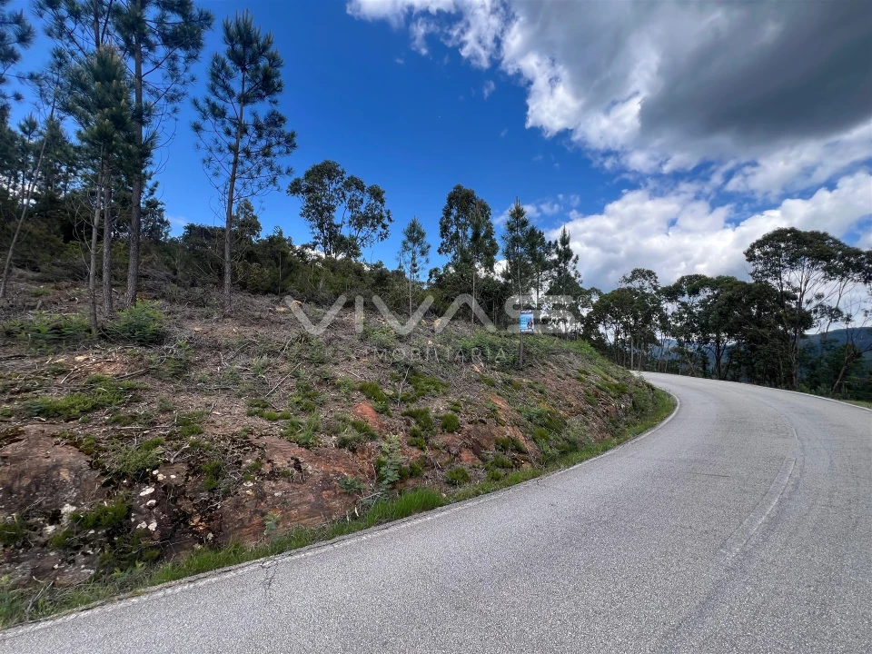 Terreno para Venda em Arnoia Foto 5