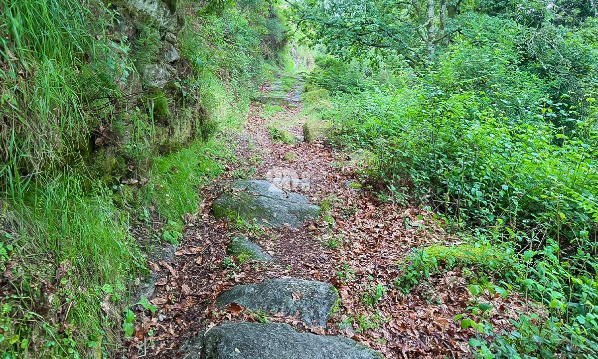 Terreno Agricola ou Rústico para Venda em Grade e Carralcova Foto 5