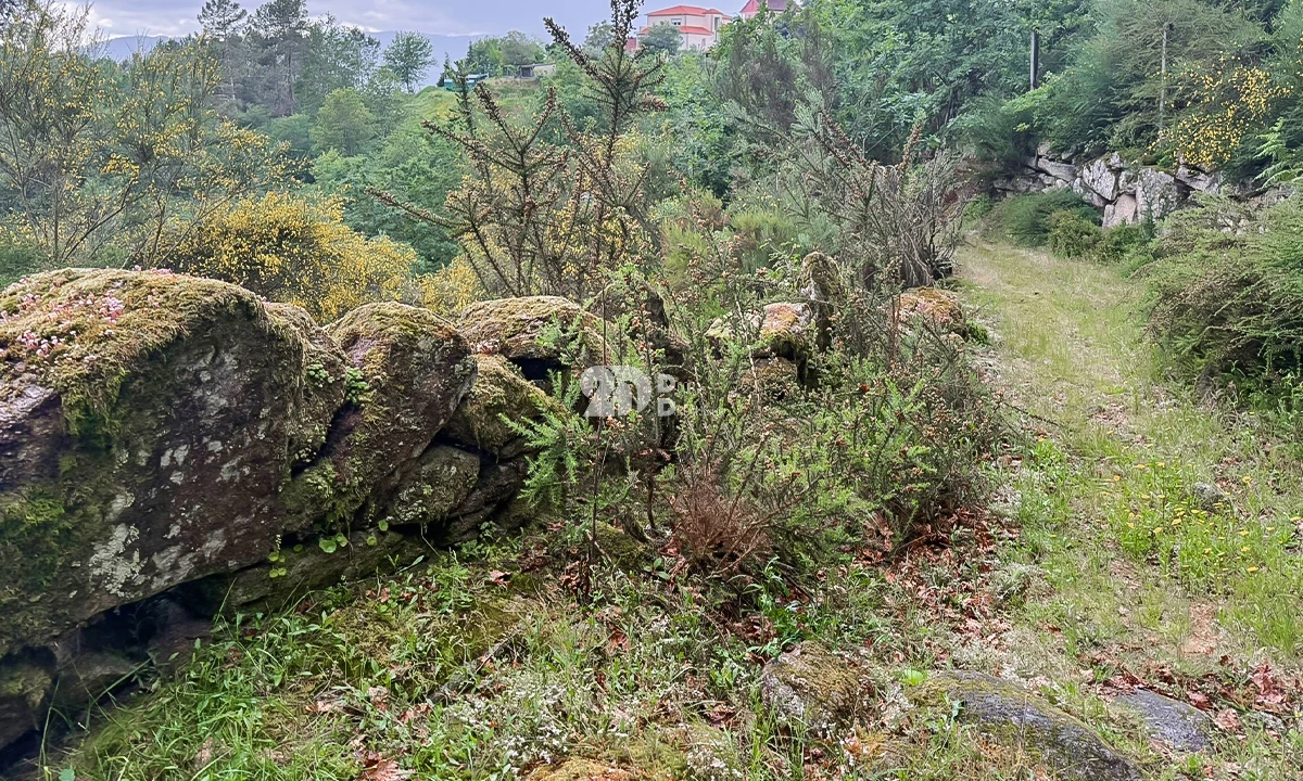 Terreno Agricola ou Rústico para Venda em Grade e Carralcova Foto 2