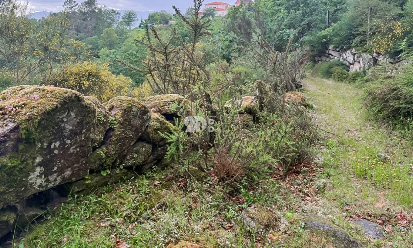Terreno Agricola ou Rústico para Venda em Grade e Carralcova Foto 2