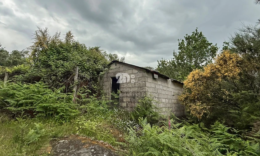 Terreno Agricola ou Rústico para Venda em Grade e Carralcova
