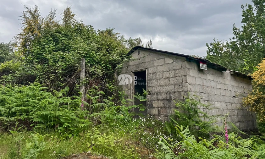 Terreno Agricola ou Rústico para Venda em Grade e Carralcova Foto 3