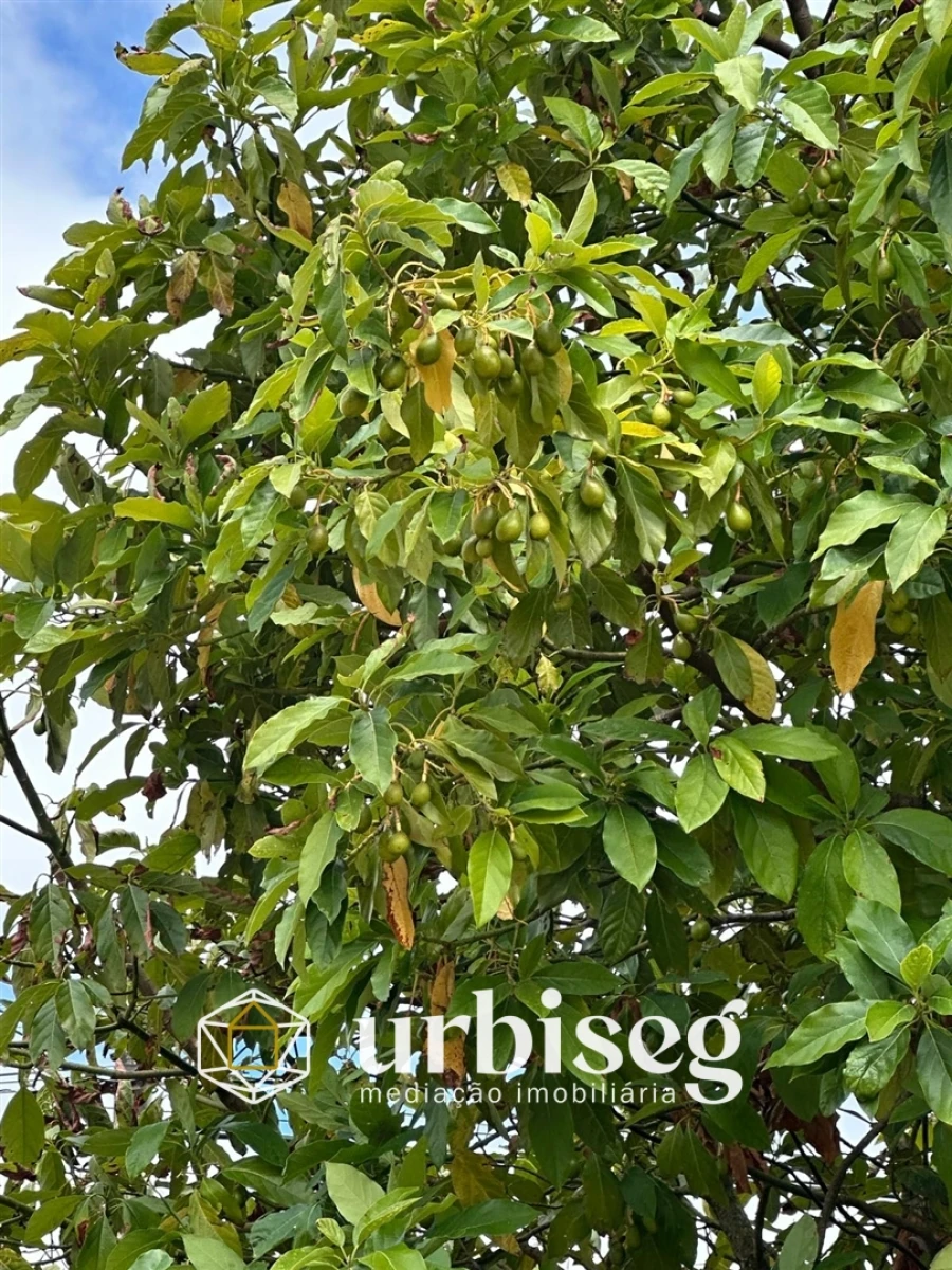 Moradia T3 para Venda em Alhadas Foto 32