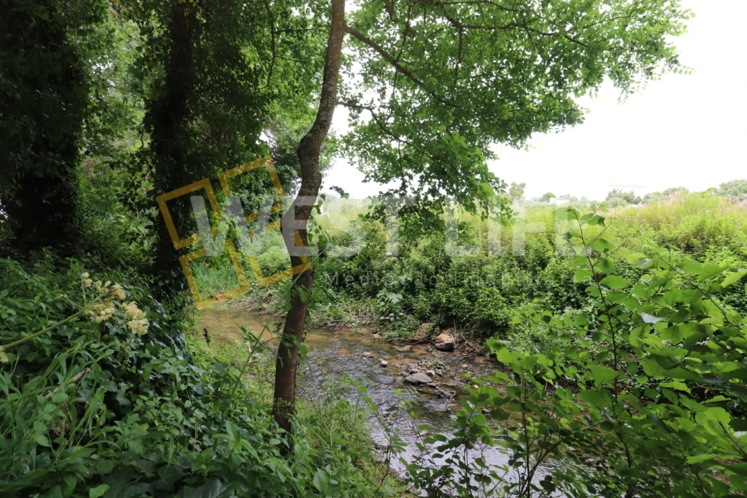Terreno Agricola ou Rústico para Venda em Ericeira Foto 4
