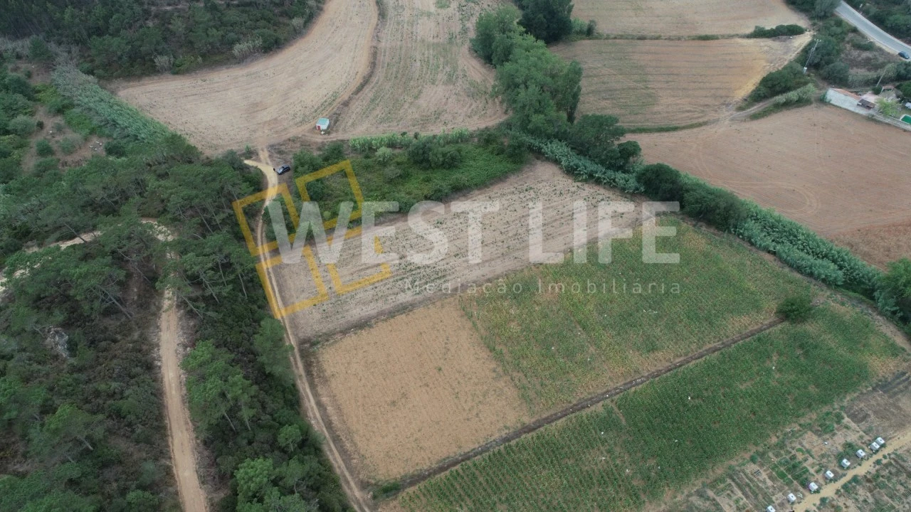 Terreno Agricola ou Rústico para Venda em Ericeira Foto 3
