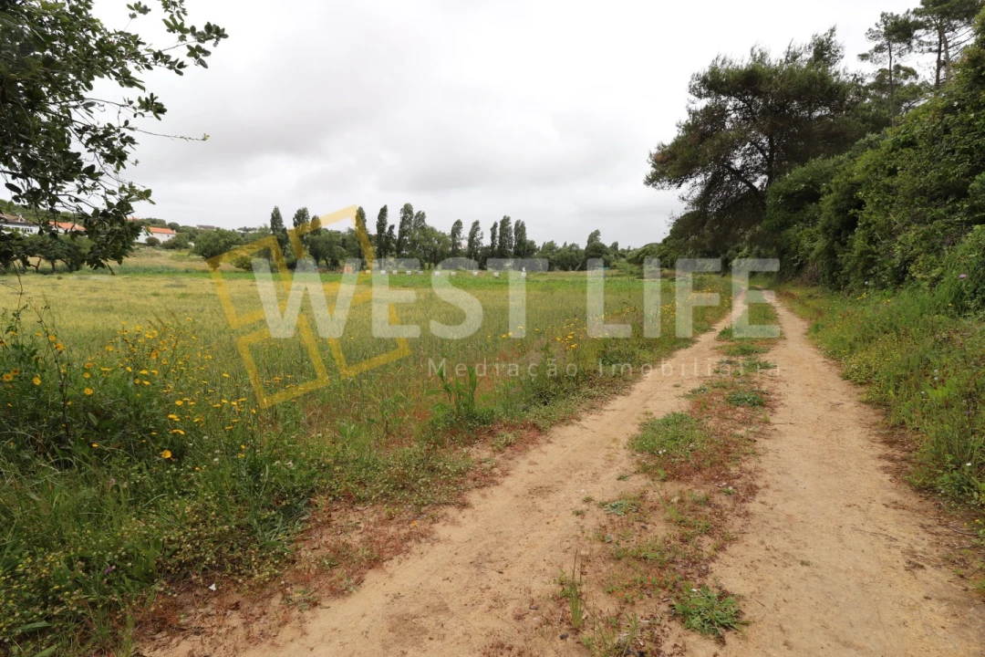Terreno Agricola ou Rústico para Venda em Ericeira Foto 7