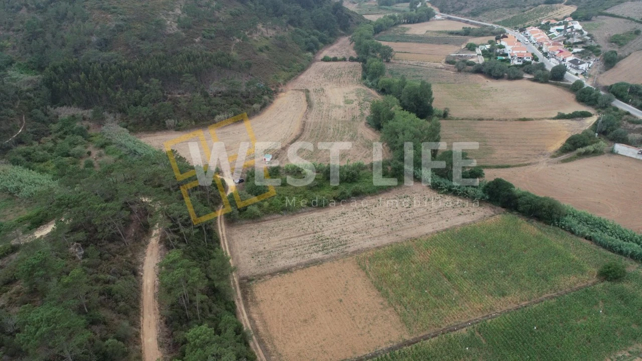 Terreno Agricola ou Rústico para Venda em Ericeira Foto 10