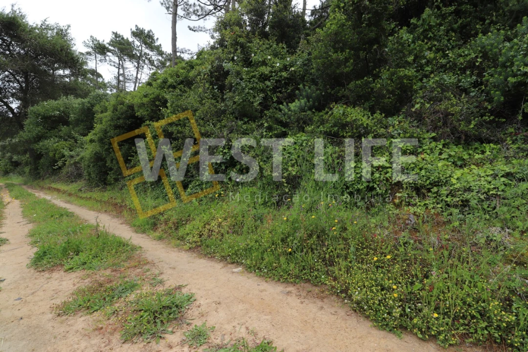 Terreno Agricola ou Rústico para Venda em Ericeira Foto 13