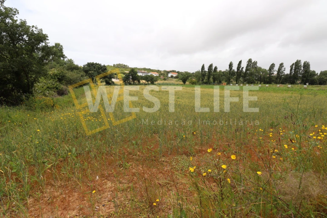 Terreno Agricola ou Rústico para Venda em Ericeira Foto 15