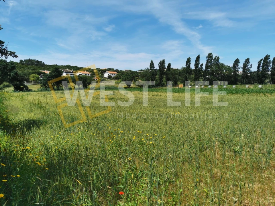 Terreno Agricola ou Rústico para Venda em Ericeira Foto 1