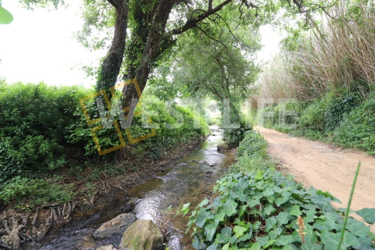 Terreno Agricola ou Rústico para Venda em Ericeira Foto 6