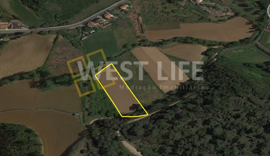 Terreno Agricola ou Rústico para Venda em Ericeira Foto 2