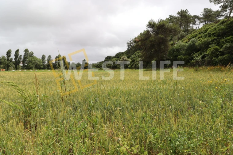 Terreno Agricola ou Rústico para Venda em Ericeira Foto 11